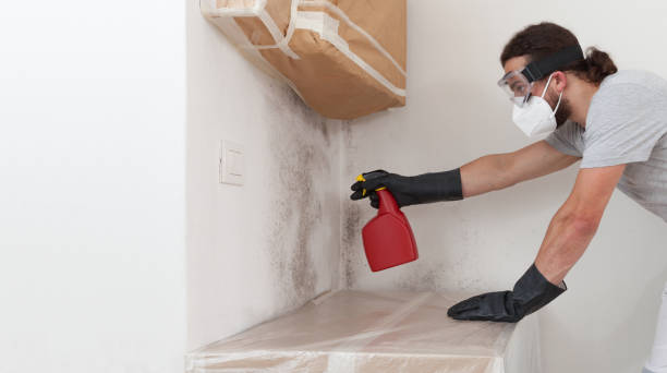 Professional Black Mold Removal technician working in Riverside, NJ